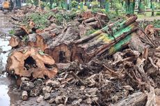 Dalam kesempatan berbeda, Dahnil mengatakan bahwa Biaya Penyelenggaraan Ibadah Haji (BPIH) 2026 masih bisa ditekan dari usulan sebelumnya.Dahnil mengungkap, salah satu komponen yang bisa ditekan untuk menurunkan biaya haji 2026 adalah kontrak penerbangan.Pasalnya, selama ini kontrak penerbangan untuk penyelenggaraan ibadah haji dilakukan setiap satu tahun sekali. Dahnil pun mengusulkan agar kontrak dengan penerbangan menggunakan skema multi-years.Penerbangan misalnya kan kontrak yang kita dorong itu tidak lagi kontrak year per year, tapi kontrak multi year. Jadi, kontrak per tiga tahun, kita evaluasi per setahun, tapi kontraknya tiga tahun. Nah, itu memberikan insentif agar bisa menurunkan harga penerbangan, ujar Dahnil di Kompleks Parlemen, Jakarta, Selasa .Baca juga: Indonesia Tak Boleh Lagi Buka Klinik untuk Jemaah Haji di Arab Saudi, Jadi PR Baru PemerintahSkema kontrak multi-years juga bisa diterapkan kepada mitra penyedia layanan haji atau syarikah. Menurutnya, hal tersebut juga bisa menekan biaya haji 2026.Semuanya itu menggunakan pendekatan kontrak multi year per tiga tahun. Itu untuk mencegah misalnya potensi kecurangan, potensi cashback karena setiap tahun ada tim pengadaan atau penyediaan. Dengan cara per tiga years ini, maka peluang untuk cashback bisa berkurang, ujar Dahnil.Sebagai informasi, pemerintah mengusulkan BPIH 2026 sebesar Rp 88.409.365,47, dengan Biaya Perjalanan Ibadah Haji (Bipih) yang ditanggung oleh calon jemaah sebesar Rp 54.924.000.