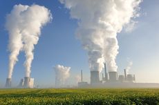 Perdagangan Karbon Dikebut, Pemerintah Bentuk Satgas Khusus