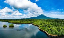 Ekosistem Gambut dan Mangrove Indonesia dalam Konstelasi Pemanasan Global