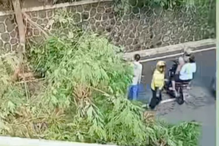 Driver Ojek Online Tertimpa Pohon Tumbang di Semarang, Begini Kondisinya