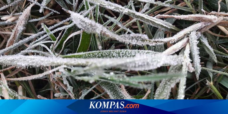 Penjelasan BMKG soal Fenomena Suhu Dingin di Indonesia - Vimarsana News