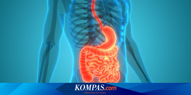 Sebab Pendarahan Dalam Perut