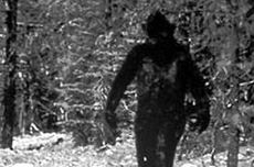 [HOAKS] Foto Penampakan Bigfoot di Purwokerto, Jawa Tengah