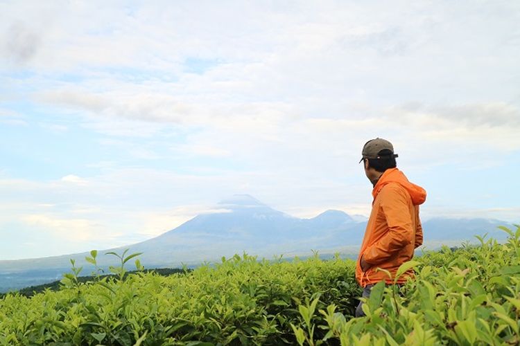 Wisatawan menikmati suasana matahari terbit dilihat dari Puncak Kampung Baru Raya atau dikenal dengan sebutan Bukit Inspirasi di area Perkebunan Teh Kertowono, Desa Guci Alit, Kecamatan Guci Alit, Kabupaten Lumajang, Jawa Timur, Senin (10/5/2017). Wisatawan bisa melihat panorama gunung-gunung seperti Gunung Semeru, Lemongan, Raung, dan Argopuro dari Bukit Inspirasi.