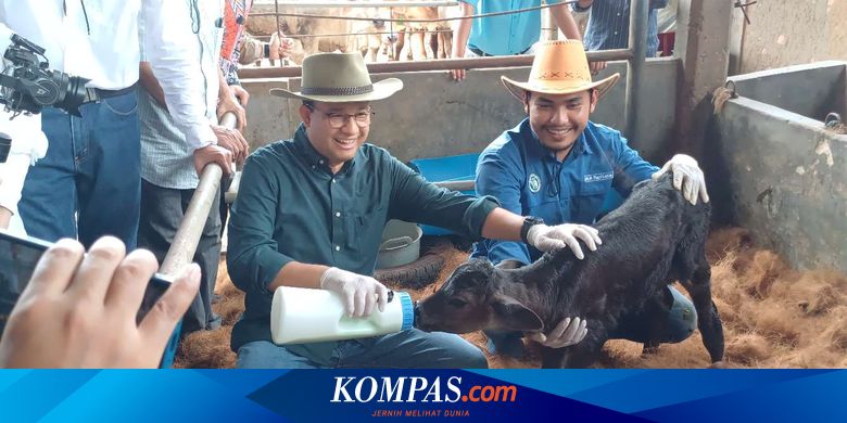 Demokrasi Kita Harusnya Maju Bukan Mundur