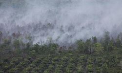 Jelang Kemarau, 752 Anggota Gapki Tetapkan Standar Penanganan Karhutla