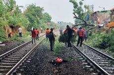 Pohon Tumbang Tutup Rel di Cimahi, Perjalanan Sejumlah Kereta Tertahan