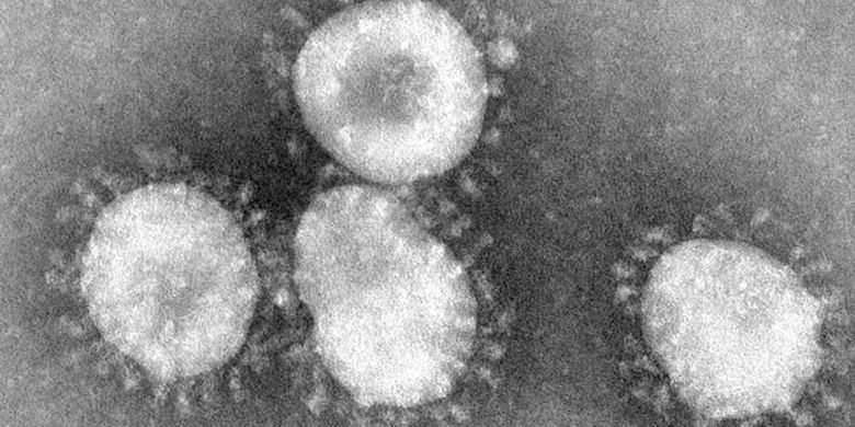 Sejarah Penemuan Virus: Menguak Jejak Perjalanan Mikroorganisme Misterius
