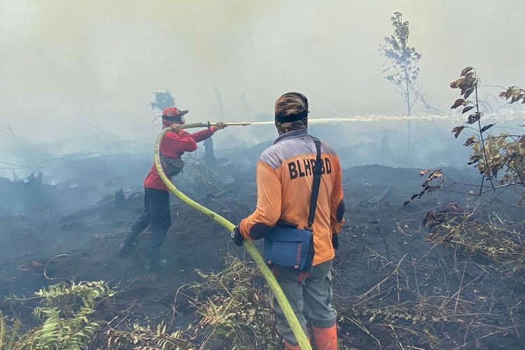 Kebakaran hutan dan lahan (karhutla) terjadi di Desa Pasir, Kecamatan Mempawah Hilir, Kabupaten Mempawah, Kalimantan Barat (Kalbar). Penyuluh Muda Kehutanan Kesatuan Pengelolaan Hutan (KPH) Mempawah, Arif mengeklaim lahan yang terbakar seluas 600 hektar dan telah terjadi sejak dua pekan terakhir.