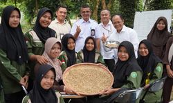 Pentingnya Literasi Pangan, Dukung Dunia Industri yang Berkelanjutan