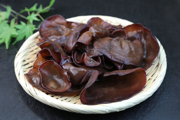 Ilustrasi jamur kuping basah. 