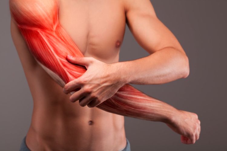 Manfaat pull up bagi tubuh lainnya adalah menguatkan otot lengan dan bahu.