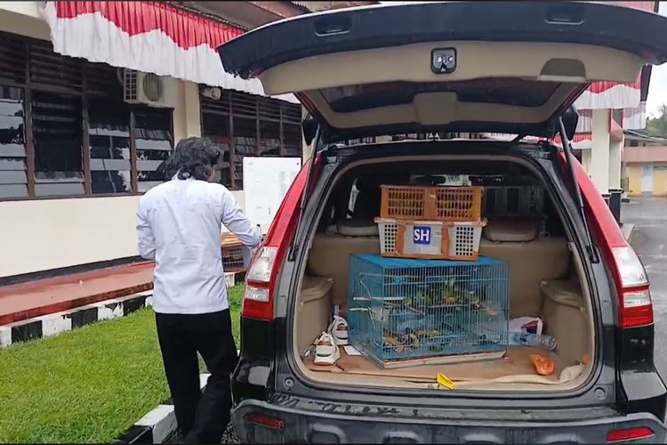 Selundupkan 225 Burung Liar dari Sumbar ke Lampung, Pria di Agam Ditangkap Polisi