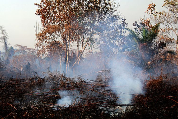 Titik api kebakaran lahan gambut di Desa Cot Simeureung, Kecamatan Sama Tiga, Kabupaten Aceh Barat, yang terjadi empat hari terakhir terus meluas.