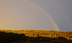 Pendakian Gunung Pangrango Ditutup Sementara Imbas Cuaca Ekstrem