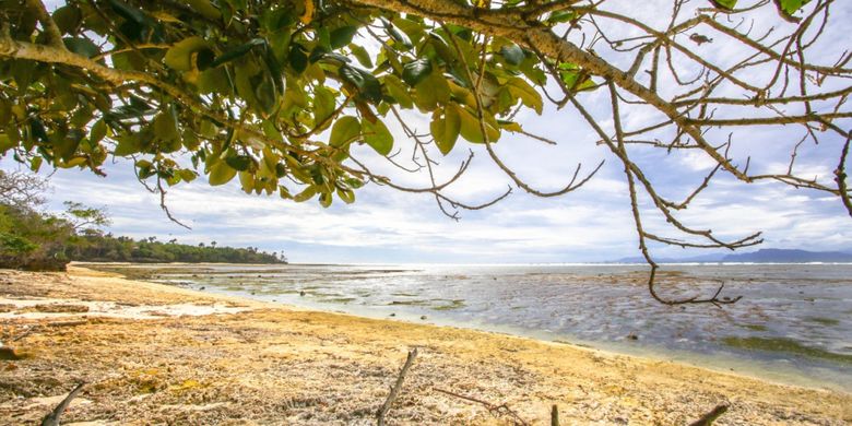 Pantai G Land yang terkenal dengan ombak yang tinggi dan cocok untuk surfing di Banyuwangi, Jawa Timur.