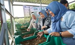 Praktik Baik Rumah Maggot, dari Sampah Jadi Penggerak Ekonomi Sirkular 