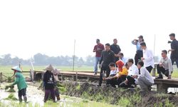 Jokowi Tinjau Inovasi Padi Biosalin di Semarang, Solusi Ketahanan Pangan pada Lahan Pesisir