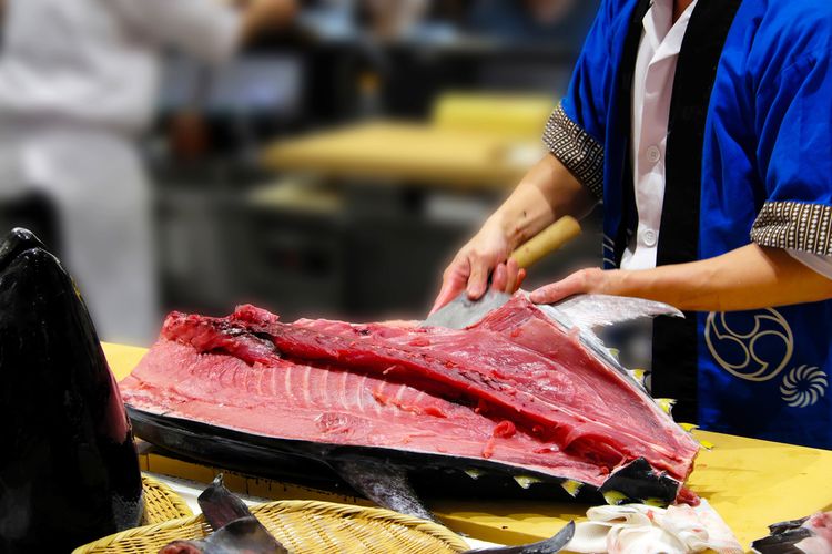 Ilustrasi chef memotong tuna besar. 