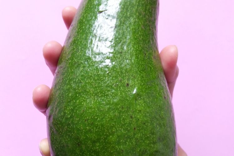 Ilustrasi buah alpukat aligator atau giant avocado. 