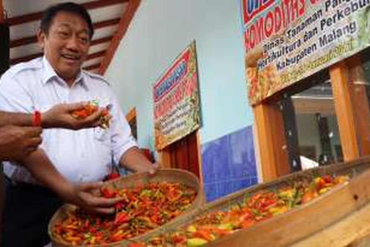 Direktur Jenderal Hortikultura Kementerian Pertanian Spudnik Sujono saat melihat cabe rawit varietas mhano di Balai Desa Purworejo, Kecamatan Ngantang, Kabupaten Malang, Jawa Timur, Rabu (11/1/2017) 