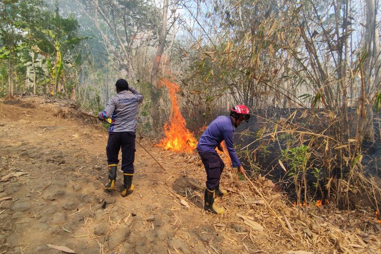 Karhutla di Trenggalek Nyaris Merembet ke Permukiman, Api Sempat Berjarak 20 Meter