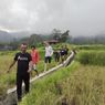 Wisata di Desa Wisata Golo Loni NTT, Bisa Trekking hingga Panen Padi