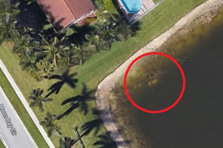 Ilustrasi orang hilang dengan mobil yang tenggelam di Google Maps