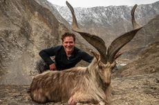 Pemburu Bayar Rp 1,5 Miliar untuk Izin Berburu Kambing Gunung Langka di Pakistan