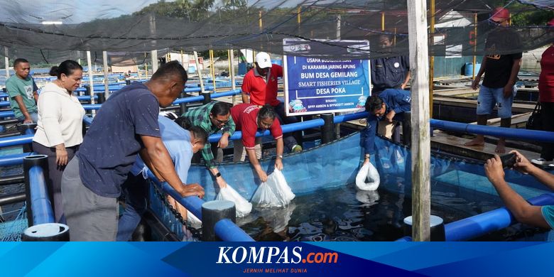 Kementerian KP Latih BUMDes Ambon Kembangkan Usaha Budidaya Ikan