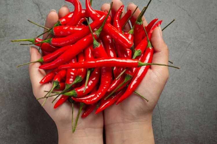 Ilustrasi cabai merah.