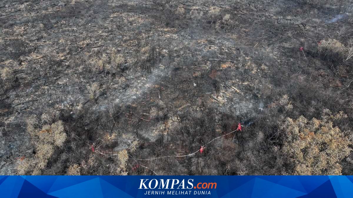 Titik Karhutla di Muara Enim, Ogan Ilir, dan OKI Padam, Sumsel Tetap Siaga Cuaca Panas Sepekan