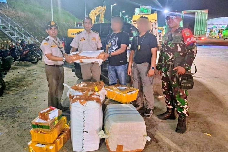 445 Kulit Ular Piton dan 32 Kura-kura Tanpa Dokumen Diamankan di Bakauheni