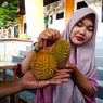 Mengenal Durian Kentang dari Magetan, Durian Kecil yang Dibiarkan Jatuh dari Pohon