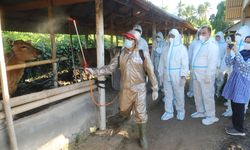 Mentan SYL Minta Seluruh Petugas Lapangan Awasi Ketat Kasus PMK di Bali