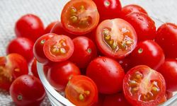 Kegiatan Pasca Panen Tomat agar Tidak Mudah Rusak