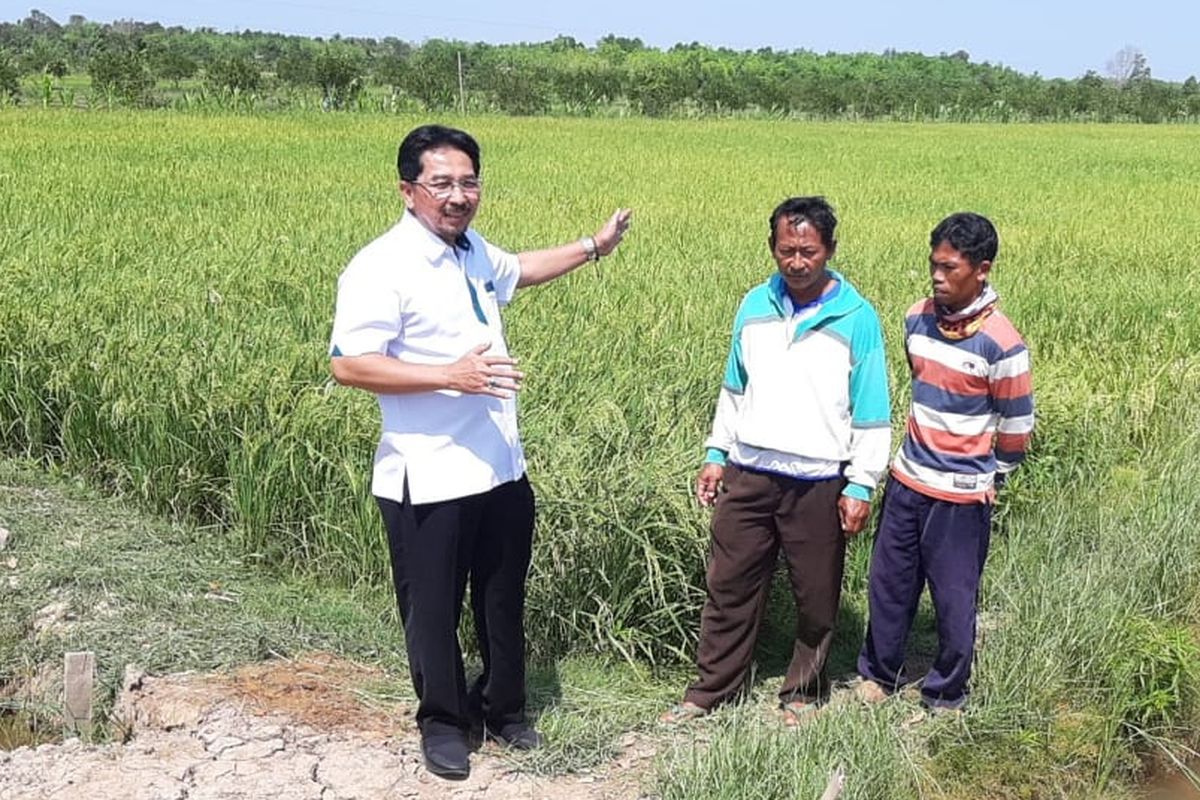 Direktur Jenderal (Dirjen) PSP Sarwo Edhy saat melakukan kunjungan kerja (kunker) di lokasi pertama Program Serasi di Kabupaten Barito Kuala, Kalimantan Selatan, Kamis (15/8/2019). 