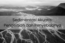 Sedimentasi Akuatis: Pengertian dan Penyebabnya