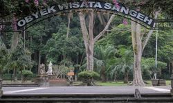 3 Hal Menarik yang Bisa Dilakukan Saat Berkunjung ke Sangeh Monkey Forest Bali