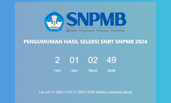 5 Fungsi Sertifikat UTBK SNBT 2024, buat Daftar STAN dan Beasiswa