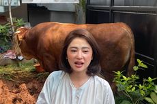 Dewi Perssik Kurbankan 3 Ekor Sapi, Salah Satunya Seberat 1 Ton 