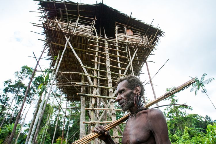Rumah pohon yang dihuni Suku Korowai.