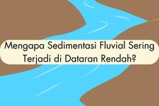 Mengapa Sedimentasi Fluvial Sering Terjadi di Dataran Rendah?