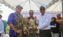 IPB Kembangkan Padi 9G, Mentan Amran: Kami Akan Kembangkan