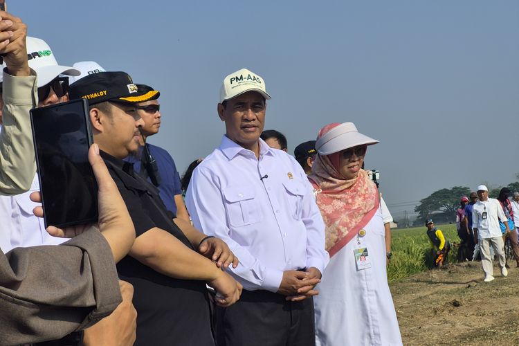 Produksi Melonjak, Mentan Amran Targetkan 1 Juta Hektare Sawah Terapkan PM-AAS Tahun Depan