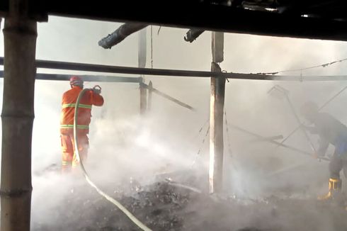 Kandang Berisi 12.000 Ekor Ayam Broiler di Blitar Terbakar, Kerugian Capai Rp 400 Juta