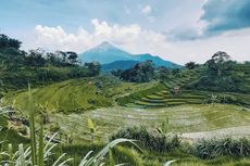Tips Berwisata ke Selotapak Mojokerto, Jangan Lupa Bawa Kamera