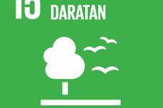 Mengenal Tujuan 15 SDGs: Ekosistem Daratan