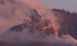 Pemadaman Kebakaran di Pegunungan Ijen Masih Terus Dilakukan