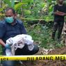 Malam-malam Anak Punk Gali Tanah, Esoknya Warga Jambi Geger Temukan Mayat Bayi di Kebun Pisang